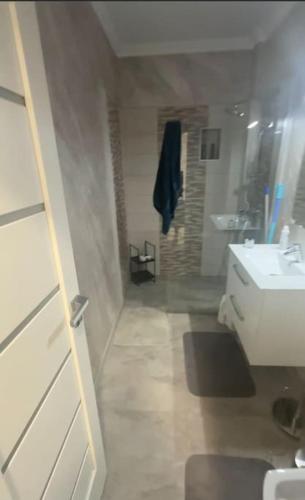 德罗贝塔-塞维林堡Premium One bedroom apartment的浴室配有白色卫生间和盥洗盆。