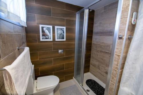 德尔锡伦西奥海岸Chaparal Design Apartment的一间带卫生间和玻璃淋浴间的浴室