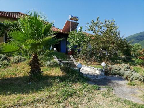乐托卡亚Villa Zerva的前面有棕榈树的房子