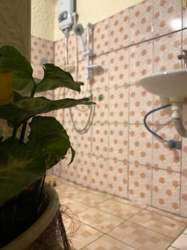 鲁亨盖里MASHA ARTS STUDIO的浴室设有植物和水槽