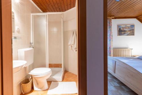 博希尼Apartments Pri Urhu的一间带卫生间和水槽的浴室