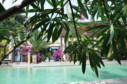 Villa Bali内部或周边的泳池