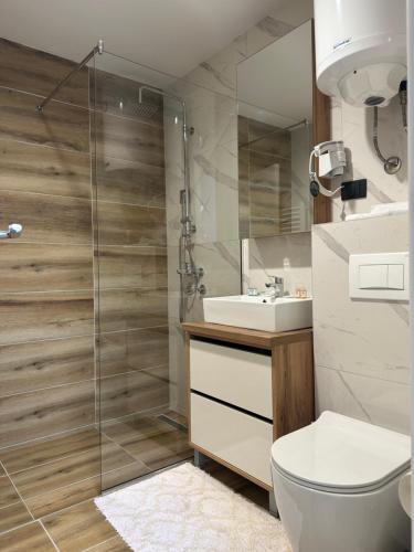 科帕奥尼克Hotel Djina - Kopaonik的带淋浴、卫生间和盥洗盆的浴室