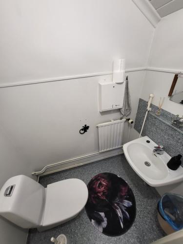 KauhajokiKokon Hovi的浴室配有白色卫生间和盥洗盆。