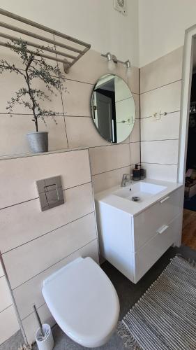 萨拉茨格里瓦Jūrmalas māja的一间带卫生间、水槽和镜子的浴室