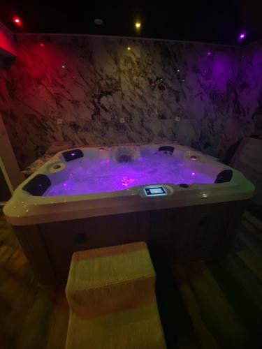 阿尔勒Why Not Jacuzzi的客房内的紫色浴缸