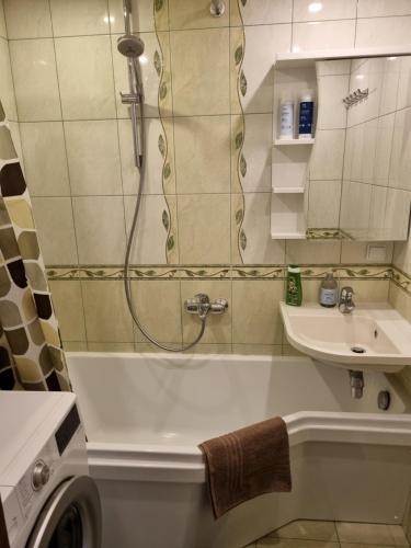 考纳斯Eva's apartments的带淋浴、盥洗盆和洗衣机的浴室