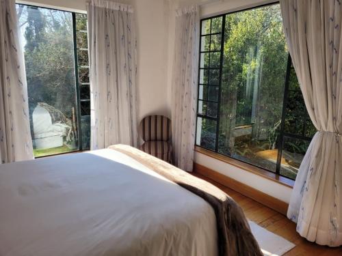 约翰内斯堡Eden Guesthouse的一间卧室设有一张床和大窗户