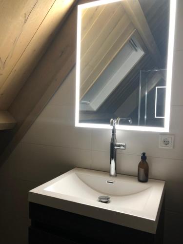 斯哈伦代克Grevelingenhuys的一间带水槽和镜子的浴室
