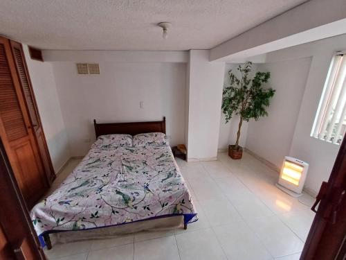 马尼萨莱斯Apartamento Central En La Zona De Cable Plaza的一间卧室配有一张床和盆栽植物
