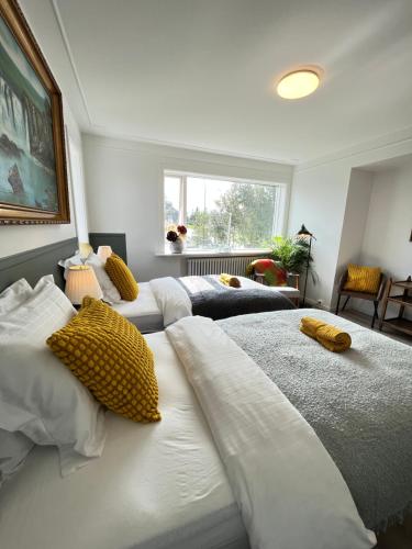 雷克雅未克Flóki by Guesthouse Reykjavík的一间卧室配有两张带黄色枕头的床。