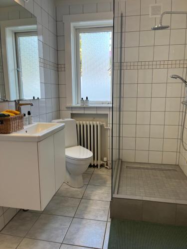 雷克雅未克Flóki by Guesthouse Reykjavík的浴室配有卫生间、盥洗盆和淋浴。
