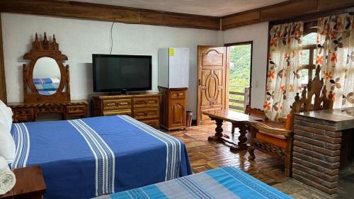 塔斯科·德·阿拉尔孔Hotel Colonial Taxco的一间卧室配有一张床、一台电视和一面镜子