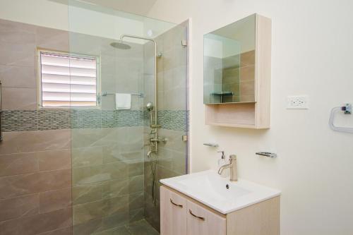 迪斯卡弗里贝home with relaxing sea view的一间带水槽和淋浴的浴室