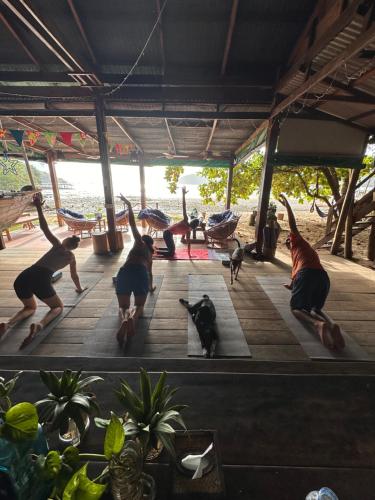高龙撒冷岛柬埔寨海滨之家旅馆的一群人用狗做瑜伽