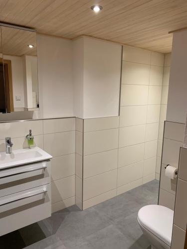 AkamsPanoramahof Monika Kennerknecht的一间带水槽和卫生间的浴室