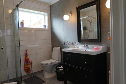 HurdalLuxury Norwegian Cottage的一间带水槽、卫生间和镜子的浴室