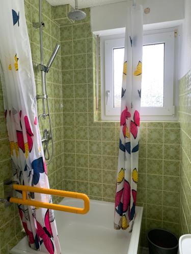 BirgelBirgeler Home的带淋浴和浴帘的浴室
