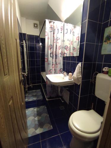 密古雷休治Eden Apartman的蓝色瓷砖浴室设有卫生间和水槽