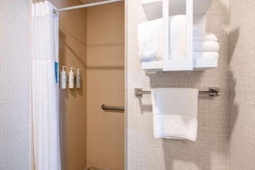 卡斯珀Newly Renovated-Hampton Inn & Suites Casper的带淋浴和墙上毛巾的浴室
