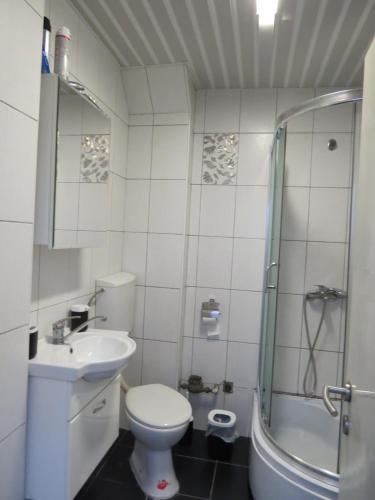 斯科普里SKOPJE REKORD APARTMENT的浴室配有卫生间、淋浴和盥洗盆。