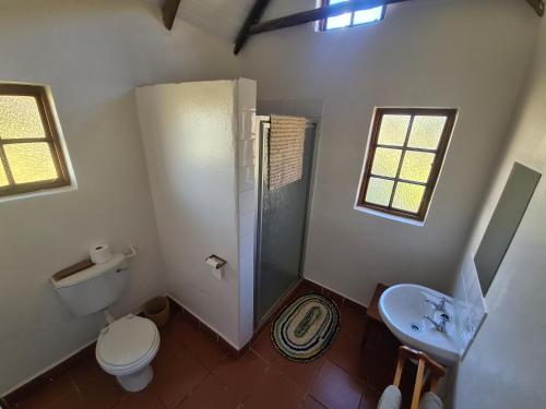 Ethels DriveTower of Pizza的浴室配有卫生间、淋浴和盥洗盆。