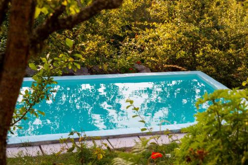 通德拉Horizontes Serranos的绿树成荫的花园中的蓝色游泳池