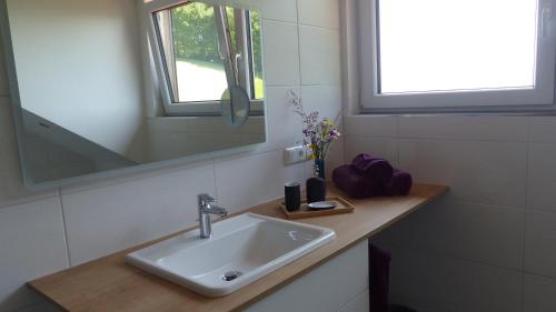 马特塞Ferienwohnung Steger的一间带水槽和镜子的浴室