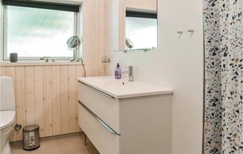 埃斯比约3 Bedroom Nice Home In Esbjerg V的一间带水槽和卫生间的浴室以及窗户。