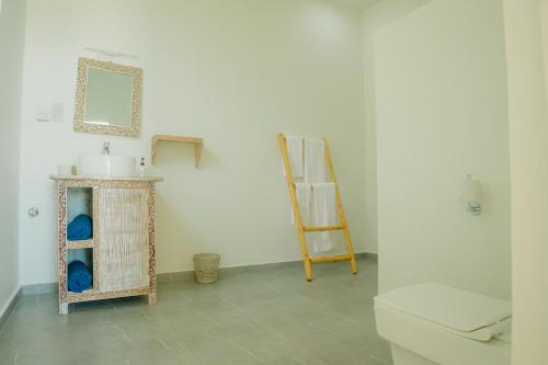 江比阿Villa Citrus Zanzibar的一间带卫生间、水槽和镜子的浴室