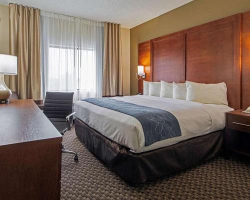 拉斯克鲁塞斯Comfort Inn & Suites Las Cruces Mesilla的酒店客房设有一张大床和一张书桌。