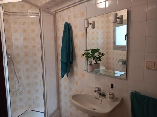 Villanueva de ViverCasa Esteban的一间带水槽、镜子和淋浴的浴室