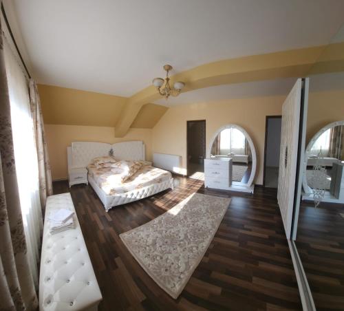 诺瓦齐- 斯特拉尼Pensiunea Novis的卧室配有一张床、木地板和窗户。