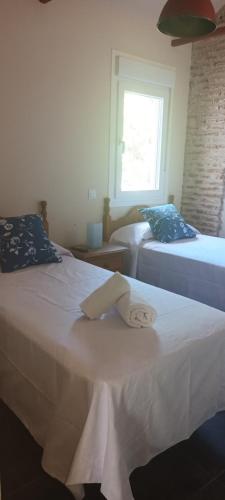 阿尔卡拉德荷那利斯La Casona del Asno的客房设有两张床和窗户。