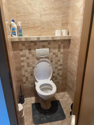 布热茨拉夫Apartmán Pohoda的一间位于客房内的白色卫生间的浴室