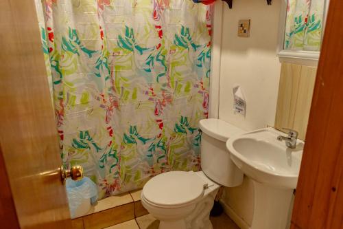 帕普多Cabañas Hostel Aquario Papudo的一间带卫生间和淋浴帘的浴室