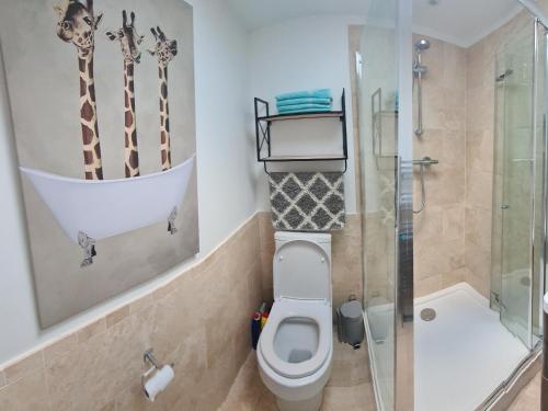 伦敦2 bed Home From Home Apartments的一间带卫生间和淋浴的浴室