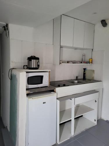AureilhanHamidani jkkld的一间小型白色厨房,内配微波炉和水槽