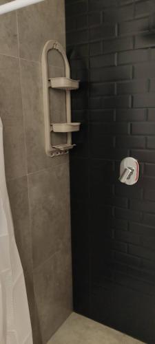 科恰班巴Monoambiente totalmente equipado y centrico的浴室设有淋浴和卫生纸架