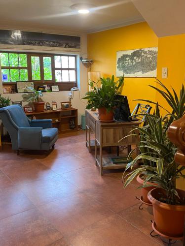 瓦拉斯La Casa de Zarela的一间客厅,里面种满了盆栽植物