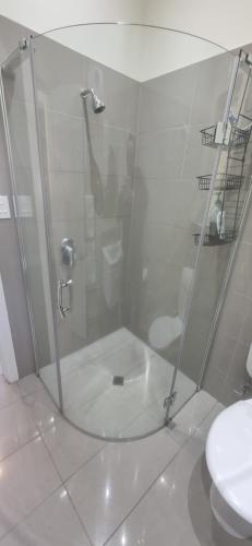 阿卡罗阿阿卡罗阿中央公寓的浴室里设有玻璃门淋浴