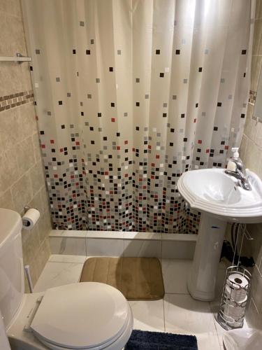 温莎Windsor Airport Accommodation的带淋浴、卫生间和盥洗盆的浴室