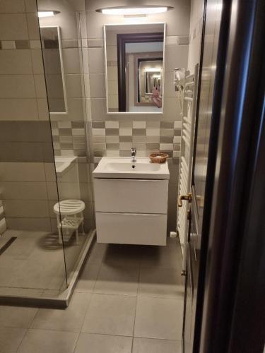 TecuciMatrix Hotel的浴室配有白色水槽和淋浴。