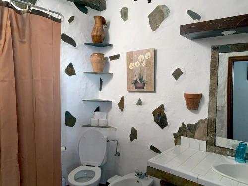 圣克鲁斯-德特内里费CASA RURAL CANARIA HOMBRE DE PALO的一间带卫生间、水槽和镜子的浴室