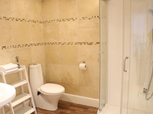 兰达弗里Pass the Keys Heart of Llandovery Large 4BR Apartment For 9的一间带卫生间和玻璃淋浴间的浴室
