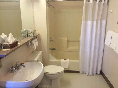 西雅图弗吉尼亚梅森酒店的浴室配有卫生间、盥洗盆和淋浴。