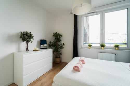 弗罗茨瓦夫Nice Apartment - Near Sky Tower - Private Parking的白色的卧室设有白色的床和窗户。