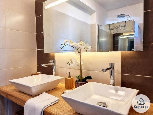 圣皮埃尔T3 - Tropical Lodge - 3 étoiles - 65m2 - Saint-Pierre的浴室设有白色水槽和镜子