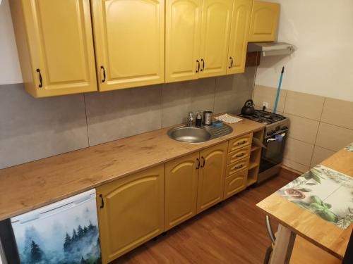 斯雷布纳古拉Przystanek Srebrna Góra的厨房配有黄色橱柜和水槽