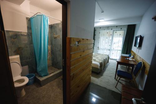 苏恰瓦Pensiunea Meteora的一间带卫生间的浴室和一间带淋浴的浴室